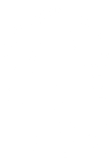 PS DISK